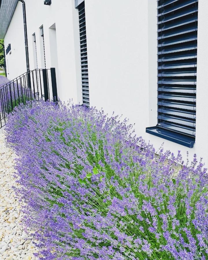 Penzion Vinarstvi Bilkovi Velké Bílovice Exterior foto