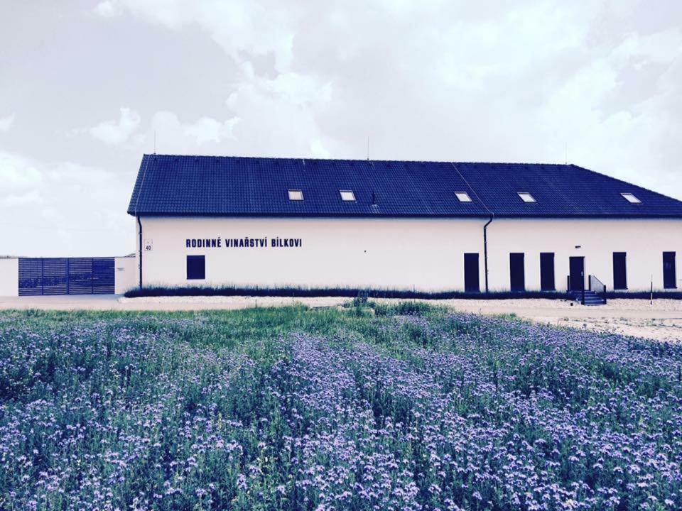 Penzion Vinarstvi Bilkovi Velké Bílovice Exterior foto